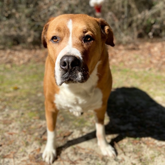 Meet your Posher, Taylor - Picture 3 of 3